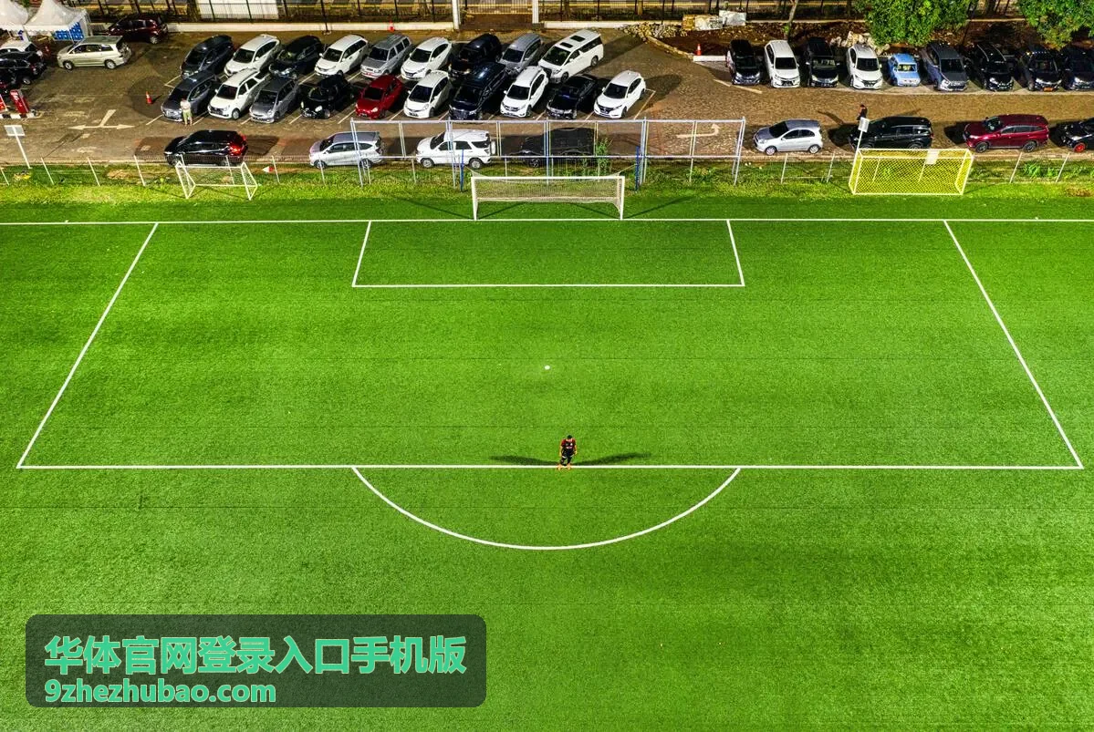 华体官网登录入口手机版比分信息字段介绍封面