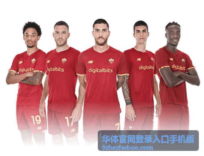 华体官网登录入口手机版走势数据页面示意图